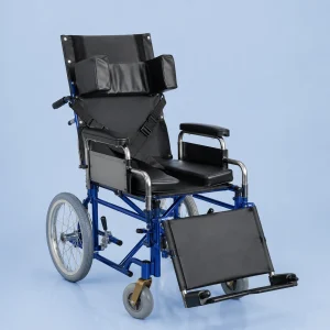 Silla de Ruedas Neurológica Sencilla